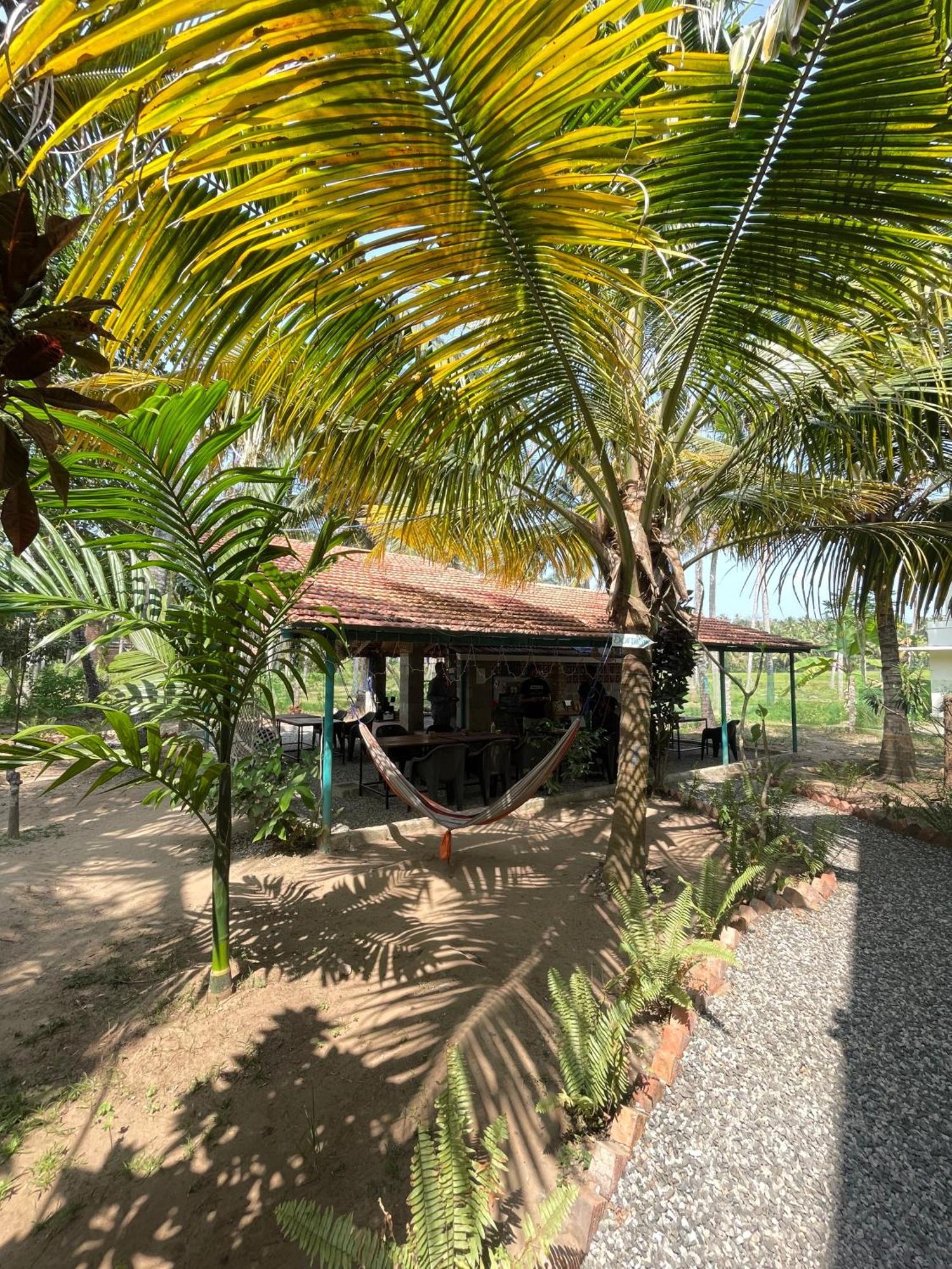 Cliff & Coral Hostel Varkala Exterior photo